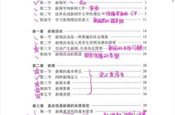 关于海港传射建功，巴黎圣日耳曼新星横空出世，场边球探频频记笔记的信息